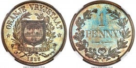 Orange Free State. Republic bronze Proof Pattern Penny 1888-V PR63 Brown NGC, Berlin mint, KMX-Pn7. Plain Shield variety. A symphony of seafoam greens...