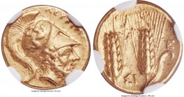 LUCANIA. Metapontum. Time of Pyrrhus (ca. 290-280 BC). AV tetrobol or third stater (13mm, 2.81 gm, 2h). NGC AU 5/5 - 4/5. Attic standard. ΛEYKIΠΠOΣ, b...