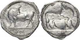 LUCANIA. Sybaris. Ca. 550-510 BC. AR stater (31mm, 7.98 gm, 12h). NGC (photo-certificate) XF 5/5 - 3/5. Bull standing left, head right, on dotted grou...