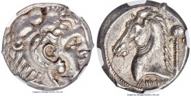 SICULO-PUNIC. Entella. Ca. 300-289 BC. AR tetradrachm (24mm, 16.79 gm, 8h). NGC AU 4/5 - 5/5. Head of young Heracles right, wearing lion-skin headdres...
