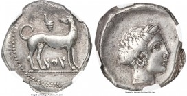 SICILY. Panormus. Ca. 412-400 BC. AR didrachm (24mm, 8.46 gm, 2h). NGC Choice VF 4/5 - 4/5, brushed. Ca. 410-390 BC. SYS (Siculo-Punic), hunting dog (...