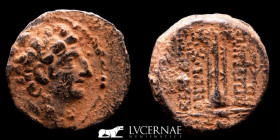 Seleukos I Nikator Bronze Unit 5,74 g. 20 mm. Antioch 312-281 BC gVF