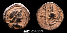 Seleukid Antiochus VII Æ Bronze Unit 6,35 g. 20 mm. Antioch 138 BC. gVF