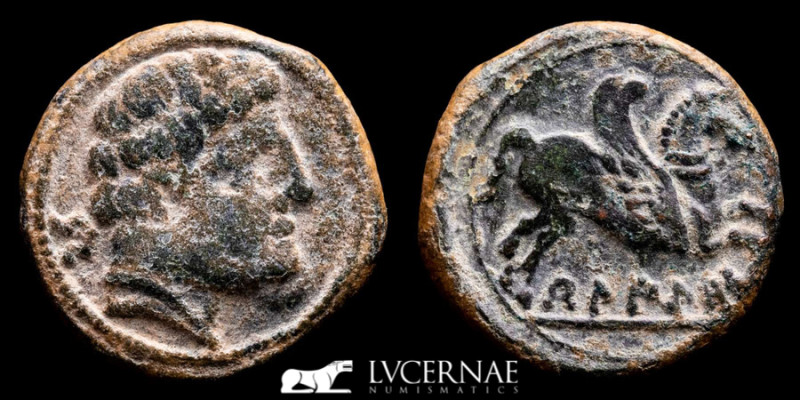 Ancient Hispania - Beligiom. Bronze Semis (5.15 g., 20 mm). Minted in 20 B.C. Be...