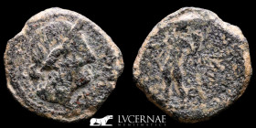 Hispain Julius Caesar times Bronze Semis 4.86 g., 20 mm. Corduba 44 BC Good very fine (MBC)