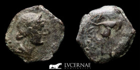 Hispain Julius Caesar times Bronze Semis 3.20 g., 18 mm. Corduba 44 BC Good very fine (MBC)