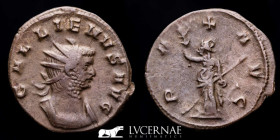 Gallienus Sole Reign Æ Bronze Antoninianus 2.80 g. 22 mm. Rome 257 A.D. nEF