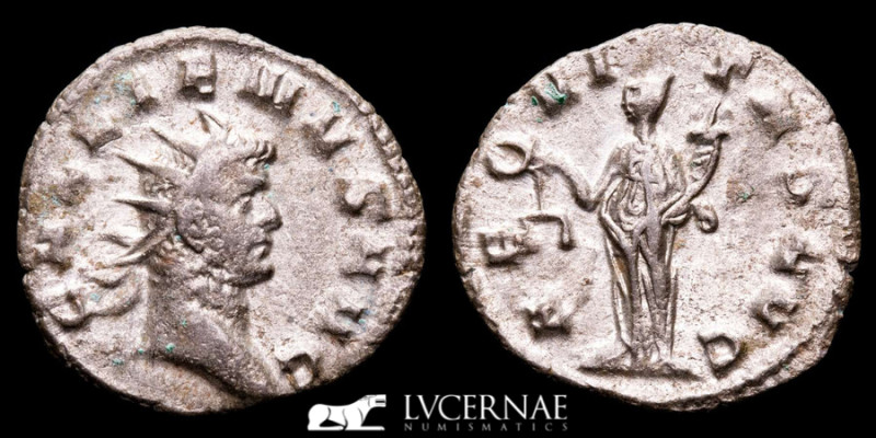 Roman Empire - Gallienus in the sole reign (260-268 A.D.) silvered antoninianus ...