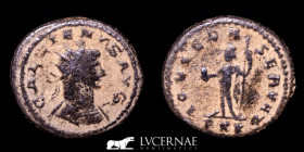 Gallienus Æ Bronze Antoninianus 3.83 g., 20 mm. Rome 253-268 A.D. VF