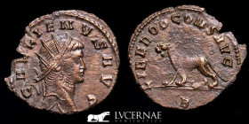 Gallienus Silvered Bronze antoninianus 2,70 g. 22 mm. Rome 253-268 Good very fine