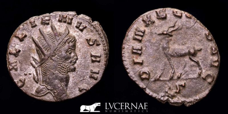 Roman Empire - Gallienus, in the sole reign. Silvered Bronze antoninianus. (2.78...