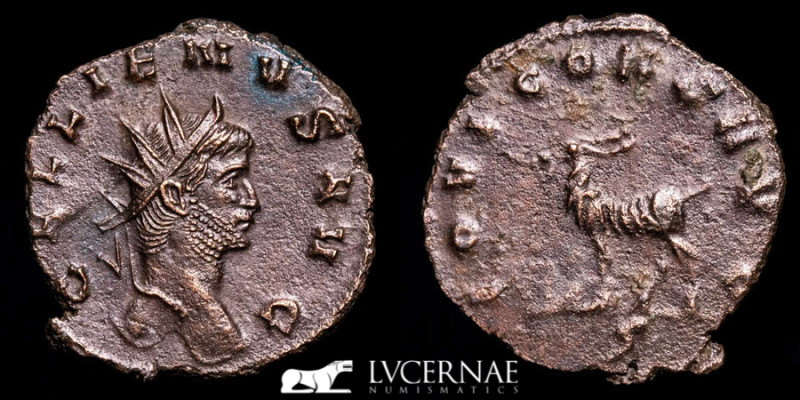 Roman Empire - Gallienus, 253-268 AD. - Bronze antoninianus (3,21 g, 20 mm). Rom...