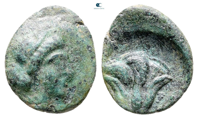 Islands off Caria. Rhodos circa 350-300 BC. 
Bronze Æ

12 mm, 1,00 g



V...