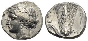 LUCANIA. Metapontum. Circa 340-330 BC. Nomos (Silver, 20.80 mm, 7.91 g), struck under the magistrate Ly... Head of Demeter to left, wearing a barley w...