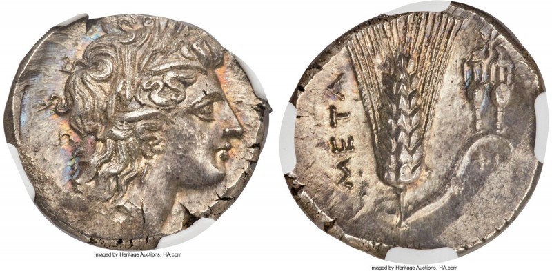 LUCANIA. Metapontum. Ca. 330-280 BC. AR nomos or stater (21mm, 7.87 gm, 2h). NGC...