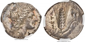 LUCANIA. Metapontum. Ca. 330-280 BC. AR nomos or stater (21mm, 7.87 gm, 2h). NGC MS 4/5 - 5/5. Head of Demeter right wearing grain wreath, triple-drop...