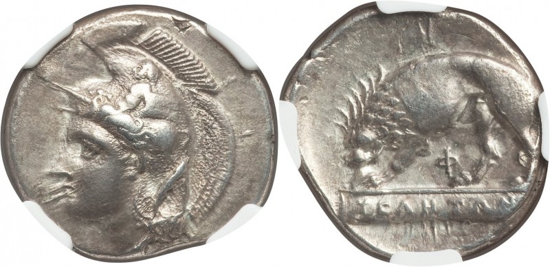 LUCANIA. Velia. Ca. 340-300 BC. AR didrachm or nomos (22mm, 7.44 gm, 11h). NGC X...
