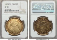 Charles IV gold 8 Escudos 1805 So-FJ XF45 NGC, Santiago mint, KM54. Well-toned throughout with a considerable rosaceous element to the typical periphe...
