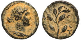 Seleucis and Pieria. Antioch. Pseudo-autonomous issue, time of Nero, 54-68. Head of Apollo to right. Rev. [ANTIOX]EΩN ΔΡ Laurel branch.

14mm 2,65g...