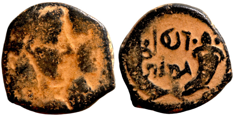 KINGS OF NABATEA Aretas IV 9 BC-40 AD with Shaqilath I AE Petra 

15mm 4,00g