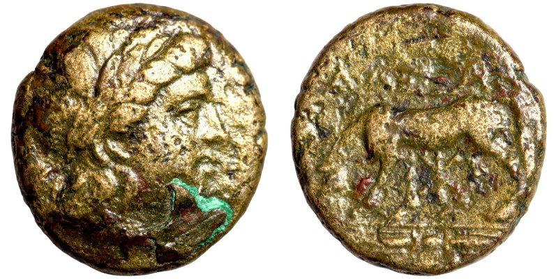 Greek coins Bronze 1-4 Century BC

17mm 4,42g