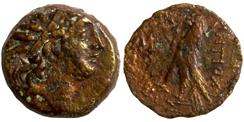 Greek coins Bronze 1-4 Century BC

16mm 3,62g