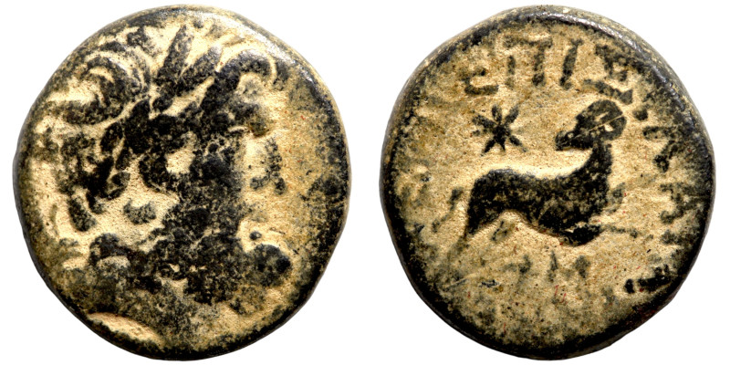 Seleukis and Pieria. Antioch. Pseudo-autonomous issue, time of Augustus, 27 BC-1...