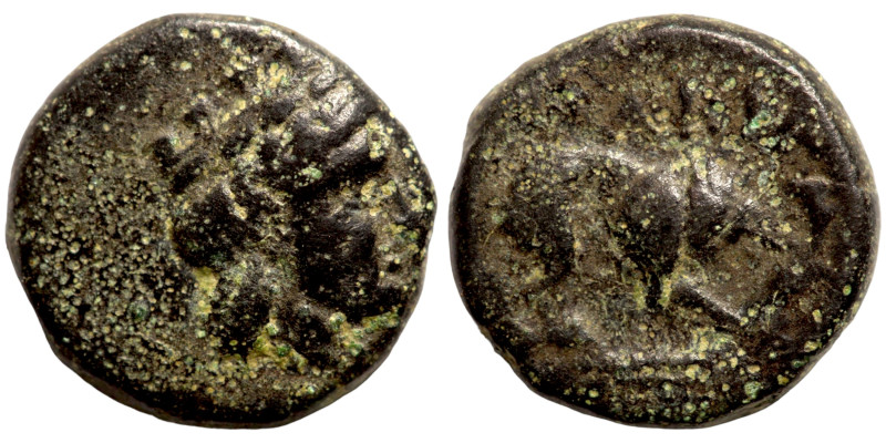 Greek coins Bronze 1-4 Century BC

12mm 1,90g