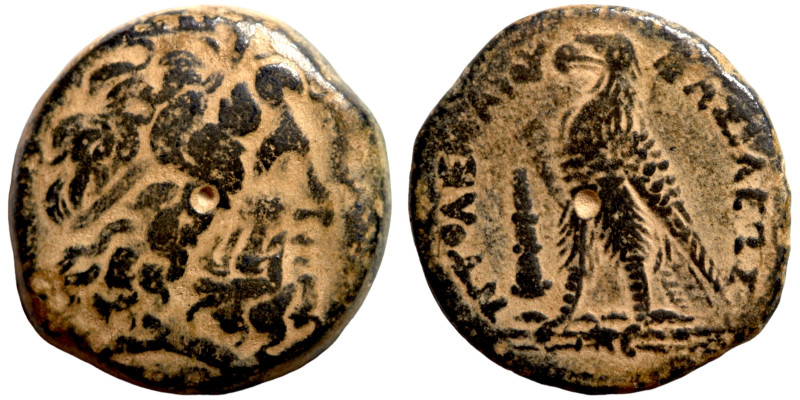 Ptolemaic Kings of Egypt, Ptolemy VI Philometor (First reign, 180-170 BC). Æ

...