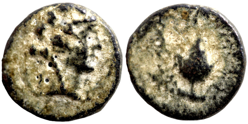 Greek coins Bronze 1-4 Century BC

13mm 1,86g