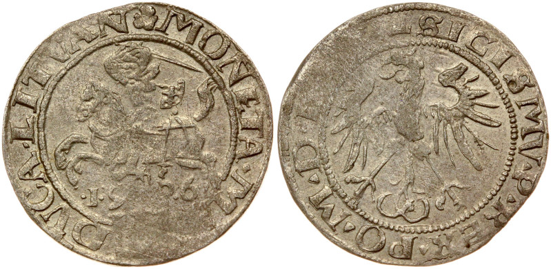 Lithuania. Zygmunt I Stary (1506-1548). Grosz 1536 F-February, Vilnius. Legend e...