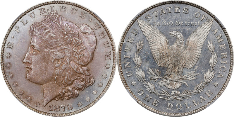 1878 Morgan Silver Dollar. 8 Tailfeathers. VAM-23. Top 100 Variety. Doubled Prof...