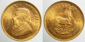 AFRICA / ASIA / OCEANIA - SOUTH AFRICA - Republic (1961-date)

COIN :
1 Krugerrand
OBVERSE : SUID-AFRIKA - SOUTH AFRICA / Bust of Paul Kruger left...