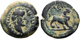 NORDAFRIKA. ALEXANDRIA. Antoninus Pius, 138 - 161 n. Chr. Diobol ø 19mm (4.28g). 146 - 147 n. Chr. Vs.: ΑΥΤ Κ Τ ΑΙΛ ΑΔΡ ΑΝΤΩΝΙΝΟΣ, Kopf mit Lorbeerkra...
