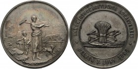 Gartenbau und Landwirtschaft
Uelzen Silbermedaille 1896 (unsigniert) Preismedaille des landwirtschaftlichen Lokalvereins. Bäuerin mit Harke und Knabe...