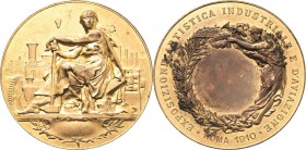 Luft- und Raumfahrt
 Vergoldete Bronzemedaille 1910 (unsigniert) Prämienmedaille der Industrie-Ausstellung in Rom. Frau im Gewand stützt sich auf Ham...