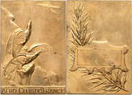 Luft- und Raumfahrt
 Vergoldete Bronzeplakette o.J. (E. Blin) Aero Club de France. Zwei Adler sitzen auf Felsen, über ihnen Flugzeug / Leeres Gravurf...