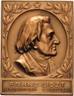 Musik - Personen
Liszt, Franz 1811-1886 Einseitige Bronzeplakette o.J. (ca. 1909) (Mayer & Wilhelm) Brustbild nach rechts in vertieftem Oval von zwei...