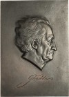 Personenmedaillen
Goethe, Johann Wolfgang 1749-1832 Einseitige Eisengußplakette o.J. (Harte/VEB Britzer Eisenwerk) Kopf nach rechts. 147 x 204 mm, 81...