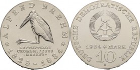 Gedenkmünzen
 10 Mark 1984. Brehm Jaeger 1597 Fast Stempelglanz