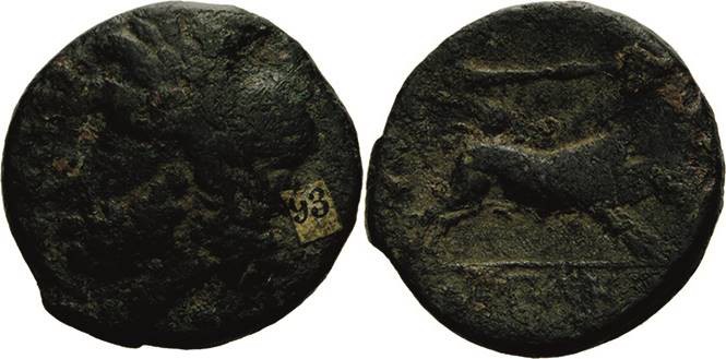 Kampanien Capua
 Bronze 3. Jhd. v. Chr. Kopf des Zeus nach links / Löwe nach re...