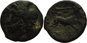 Kampanien Capua
 Bronze 3. Jhd. v. Chr. Kopf des Zeus nach links / Löwe nach rechts, Kopf von vorn, mit dem Maul eine Lanze zerbeissend, darunter in ...