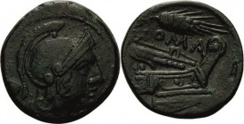 Römische Republik
Anonym 211-207 v. Chr Æ-Uncia Sizilien Romakopf mit Helm nach rechts / Schiffsbug nach rechts, darüber Kornähre und ROMA Cr. 42/4 S...