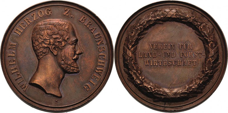 Braunschweig-Medaillen
 Bronzemedaille o.J. (Fritz) Preismedaille des Vereins f...