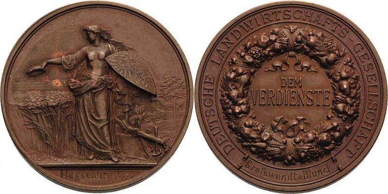 Magdeburg-Stadt
 Bronzemedaille 1889 (K. Schwenzer) Verdienstmedaille der Deuts...
