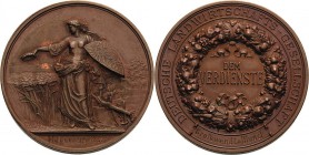 Magdeburg-Stadt
 Bronzemedaille 1889 (K. Schwenzer) Verdienstmedaille der Deutschen Landwirtschafts-Gesellschaft, graviert MAGDEBURG 1889. Germania m...