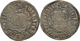 Mecklenburg-Güstrow
Karl I. 1603-1610 Doppelschilling 1606, Gadebusch Kunzel 155 D/a Leichte Prägeschwäche, vorzüglich