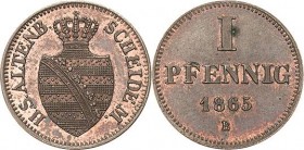 Sachsen-Altenburg
Ernst I. 1853-1908 Pfennig 1865, B-Dresden AKS 63 Jaeger 109 Revers kl. Fleck, fast Stempelglanz/vorzüglich-Stempelglanz