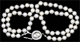 Schmuck und Accessoires aus Gold

Colliers und Halsketten

Perlencollier mit Verschluss Weißgold 585/1000. Länge 50 cm, 65 Perlen und zusätzlich z...