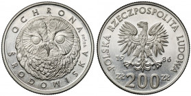 Próba CuNi 200 złotych 1986 Głowa sowy